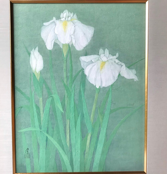 花　絵　植物画　癒し　優しい　インテリア　額入り　日本画　『 菖蒲 』 2枚目の画像