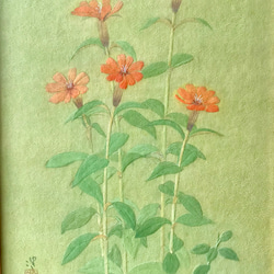 花　絵　植物画　癒し　優しい　インテリア　額入り　日本画　『松本せんのう』 3枚目の画像