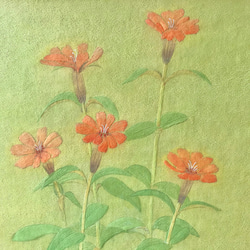 花　絵　植物画　癒し　優しい　インテリア　額入り　日本画　『松本せんのう』 4枚目の画像