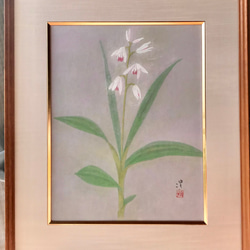 花　絵　植物画　癒し　優しい　インテリア　額入り　日本画　『口紅シラン』 3枚目の画像
