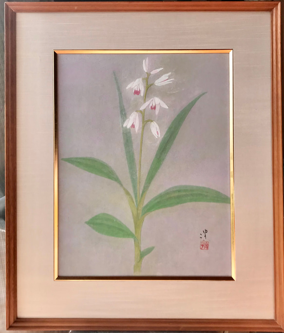 花　絵　植物画　癒し　優しい　インテリア　額入り　日本画　『口紅シラン』 3枚目の画像