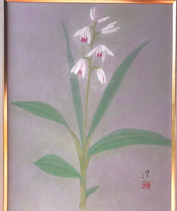 花　絵　植物画　癒し　優しい　インテリア　額入り　日本画　『口紅シラン』 2枚目の画像