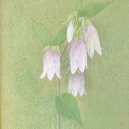 日本画 花の絵画 縦長　ホタルブクロ　岩絵の具　キャンバスアート 花 絵 植物画 癒し 優しい 額入り 日本画 『ホタルブクロ』 絵画