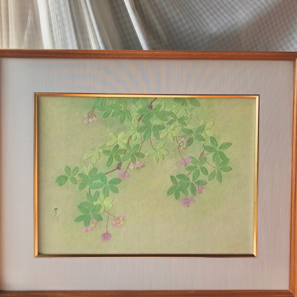 花　絵　植物画　癒し　優しい　インテリア　額入り　日本画　『あけび』 2枚目の画像