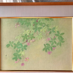 花　絵　植物画　癒し　優しい　インテリア　額入り　日本画　『あけび』 1枚目の画像