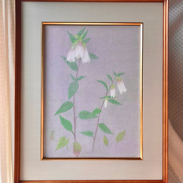 花　絵　植物画　癒し　優しい　インテリア　額入り　日本画　『ホタルブクロ』 5枚目の画像