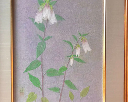 植物絵画　額入り パキポディウム・グラキリス② 植物画 (原画・額入り