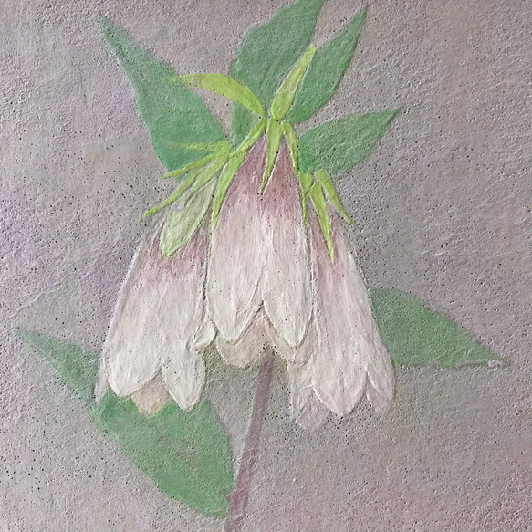 花　絵　植物画　癒し　優しい　インテリア　額入り　日本画　『ホタルブクロ』 2枚目の画像