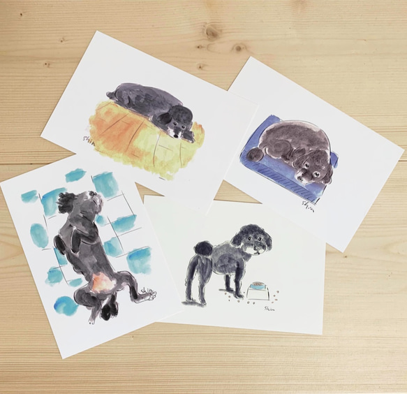 (009)NALU Blue No.1poodle 1枚目の画像
