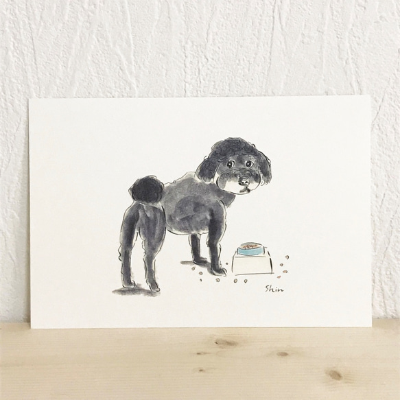 (009)NALU Blue No.1poodle 3枚目の画像
