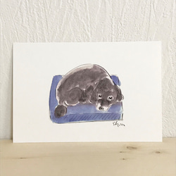 (009)NALU Blue No.1poodle 4枚目の画像