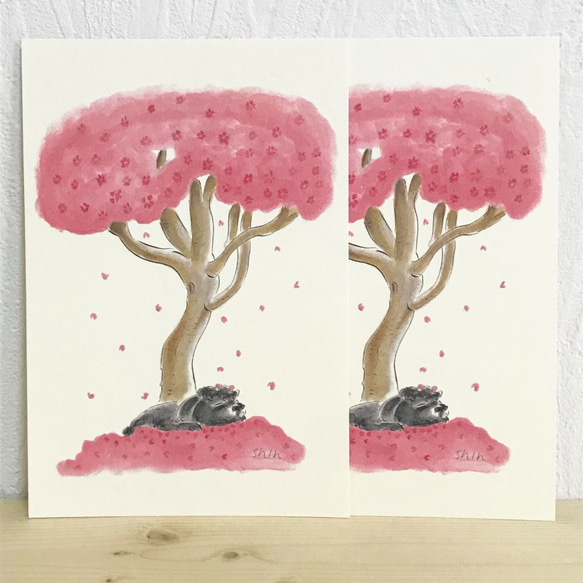 春のゆめ２枚セット 1枚目の画像