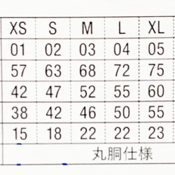  第11張的照片