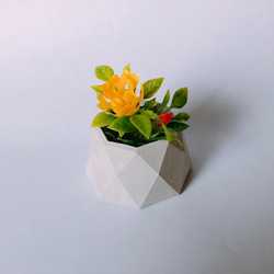 多角形　植木鉢 小物入れ　モルタル 2枚目の画像