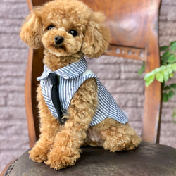 イタグレ用犬服】ワッフル✖️チェックが素敵にマッチ⭐︎おしゃれに