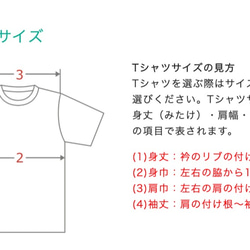 【送料無料】三角 レディース Tシャツ トリコロール　トライアングル 4枚目の画像