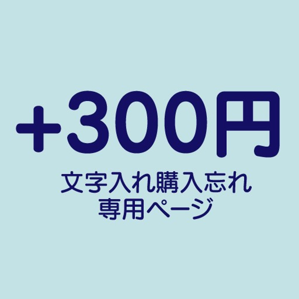 文字入れ　注文忘れ専用ページ 1枚目の画像