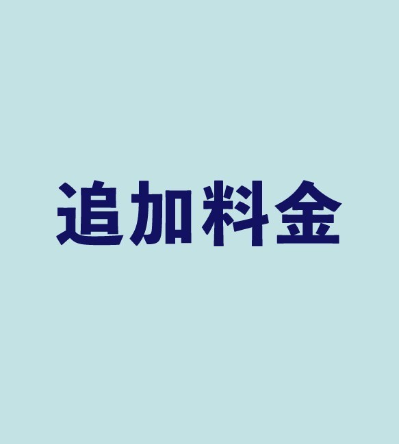 追加料金 1枚目の画像