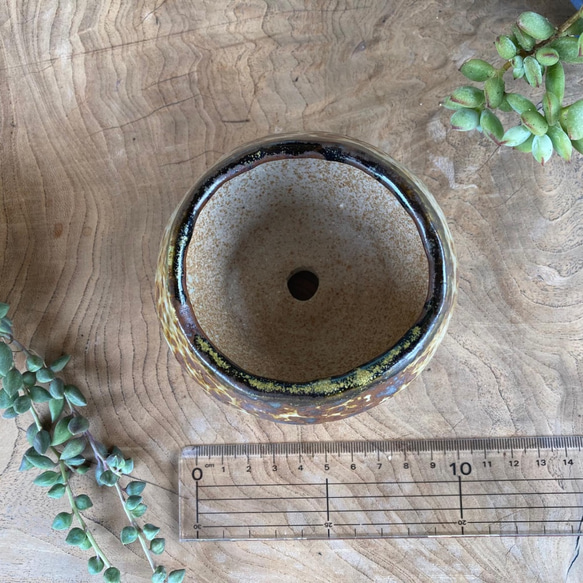 飴釉の植木鉢　ぼつぼつ模様 4枚目の画像