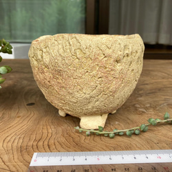 練込み ぐい呑み 練り込み 半磁土練り込みのぐい呑み 荒海 おちょこ・ぐい呑み・徳利 とら