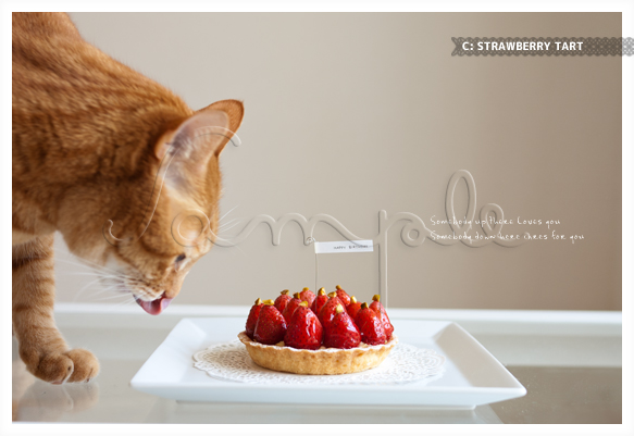 ねこの棲むポストカード: ⊹ Strawberry Tart ⊹ 1枚目の画像