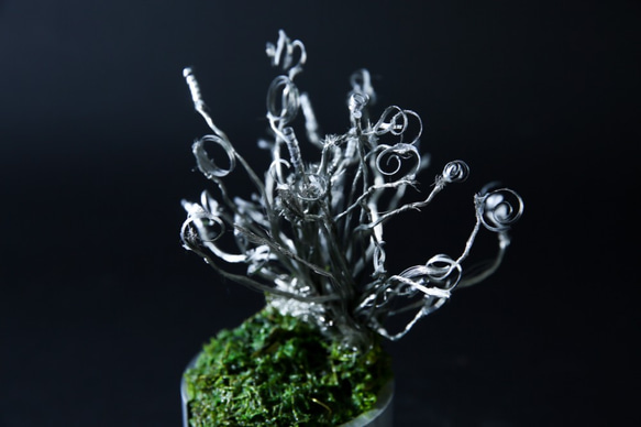 metallic bonsai 3 2枚目の画像