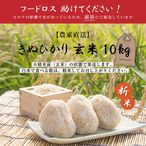 国産玄米10kg（精米前） 【フードロス】三重県産 新米きぬひかり