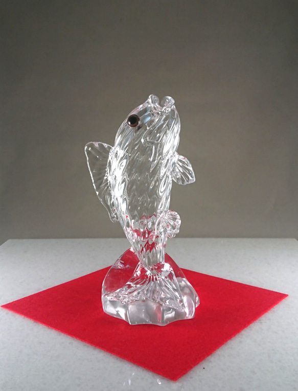 鯉の滝登り(クリア) 1枚目の画像