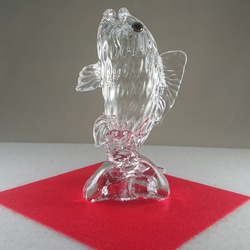 鯉の滝登り(クリア) 2枚目の画像