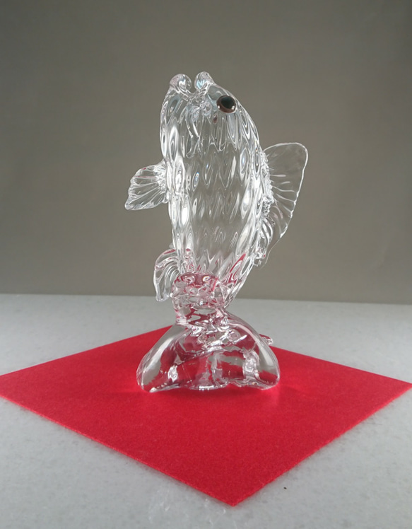 鯉の滝登り(クリア) 2枚目の画像