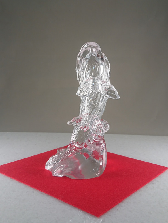 鯉の滝登り(クリア) 4枚目の画像