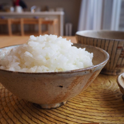 白米3kg新潟県糸魚川根知産コシヒカリ100%/あふれる甘さ、純甘米