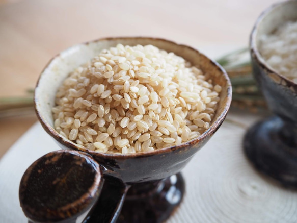 コシヒカリ 令和5年極上の新米５㎏ 玄米(収穫後発送) 3枚目の画像