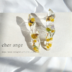 お花の氷柱 crystal ピアス ミモザ 2枚目の画像