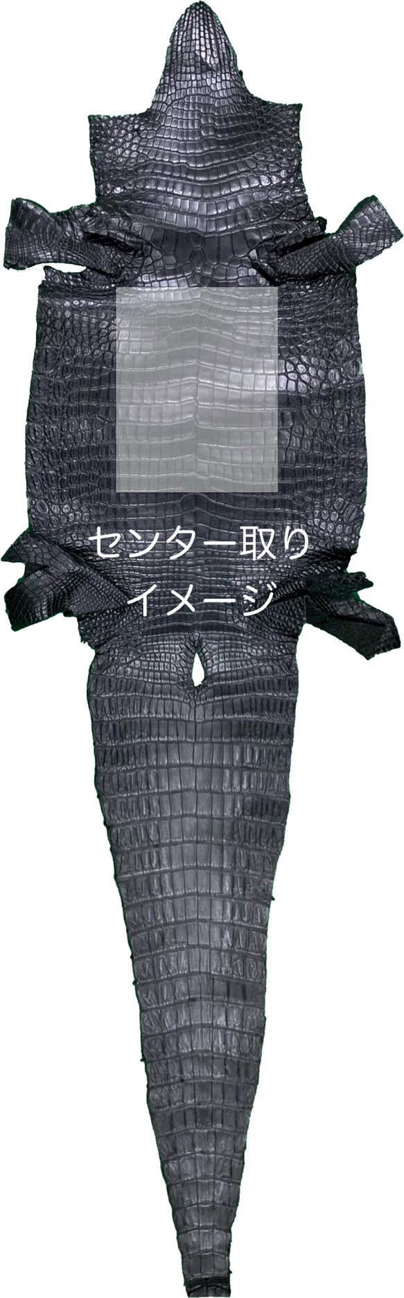 日本製　上質 クロコダイル　マット仕上げ　センター1匹取り　ロングウォレット　長財布　L字ファスナー　エキゾチックレザー 11枚目の画像