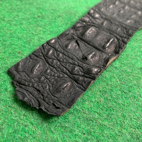 クロコダイル 背ワニ エキゾチックレザー その他素材 MEISTER SUZUKI