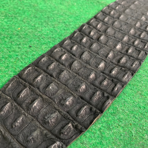 クロコダイル 背ワニ エキゾチックレザー その他素材 MEISTER SUZUKI