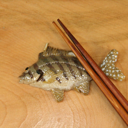 タカノハダイ・陶芸作品 箸置き（標準型-大）（陶 さかな ） 2枚目の画像