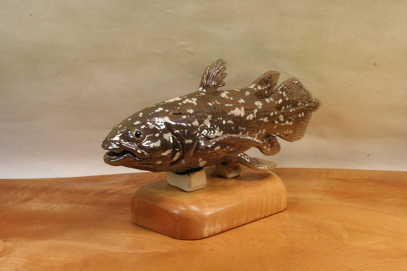シーラカンス（25cm型）・陶芸作品　置物（陶 さかな フィギュア） 2枚目の画像