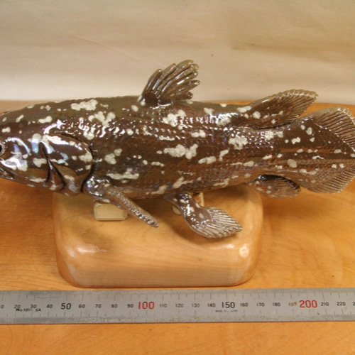 シーラカンス（25cm型）・陶芸作品 置物（陶 さかな フィギュア） 立体