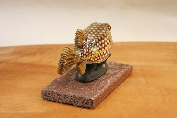 ハコフグ（幼魚）・陶芸作品 置物mini（陶 さかな フィギュア） 7枚目の画像