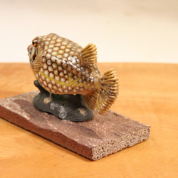 ハコフグ（幼魚）・陶芸作品 置物mini（陶 さかな フィギュア） 9枚目の画像