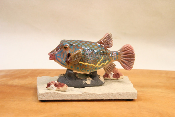 ハコフグ（成魚）・陶芸作品 置物mini（陶 さかな フィギュア） 1枚目の画像