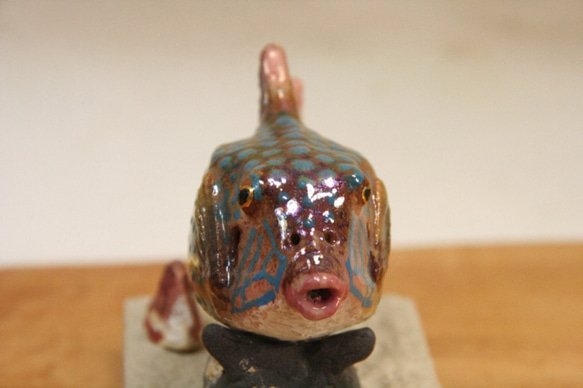 ハコフグ（成魚）・陶芸作品 置物mini（陶 さかな フィギュア） 3枚目の画像