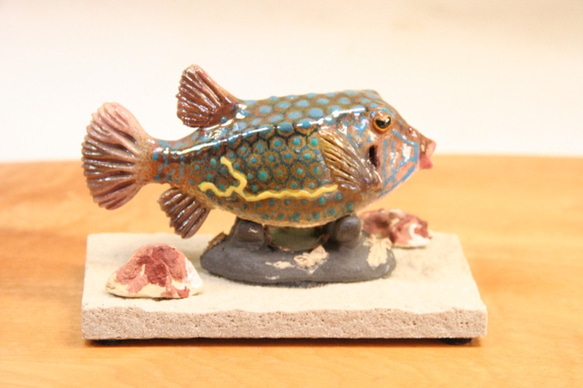 ハコフグ（成魚）・陶芸作品 置物mini（陶 さかな フィギュア） 6枚目の画像