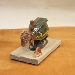 ハコフグ（成魚）・陶芸作品 置物mini（陶 さかな フィギュア） 7枚目の画像