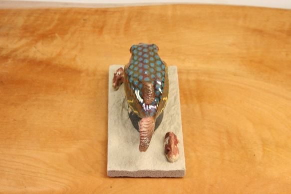 ハコフグ（成魚）・陶芸作品 置物mini（陶 さかな フィギュア） 9枚目の画像