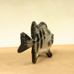 クチグロ（イシダイ）・陶芸作品 置物mini（陶 さかな フィギュア） 6枚目の画像