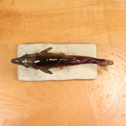 ベニサケ・陶芸作品 置物mini（陶 さかな フィギュア） 立体・オブジェ