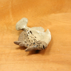 カワハギ・陶芸作品　豆皿（陶 さかな 箸置き） 2枚目の画像